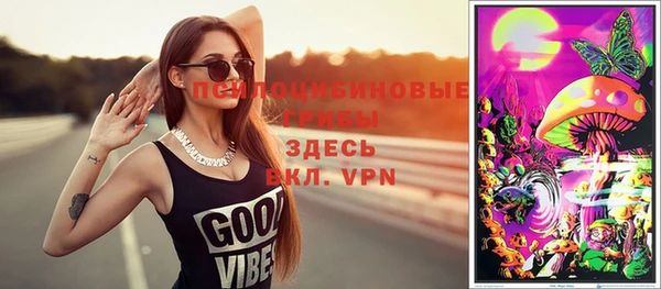 дурь Алексин