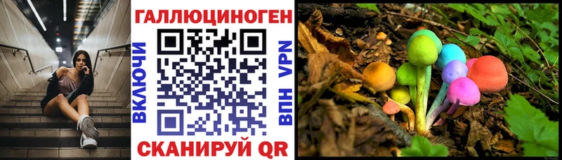 Псилоцибиновые грибы GOLDEN TEACHER  Нововоронеж 