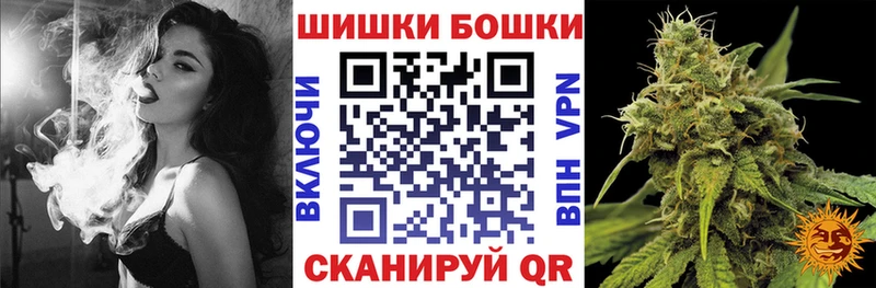 omg зеркало  хочу наркоту  Нововоронеж  Конопля SATIVA & INDICA 